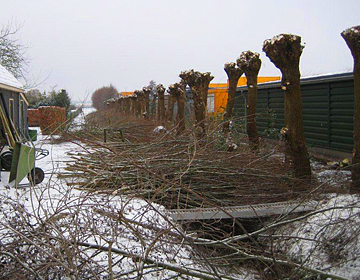 onderhouden singels en landschappelijke boom en houtopstanden