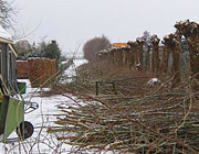 fruitbomen en erfbeplanting